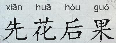 先花后果的拼音