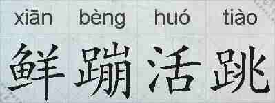 鲜蹦活跳的拼音