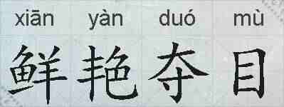 鲜艳夺目的拼音