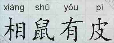 相鼠有皮的拼音