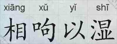 相呴以湿的拼音