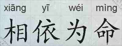 相依为命的拼音