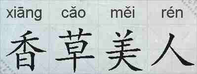 香草美人的拼音