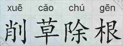 削草除根的拼音