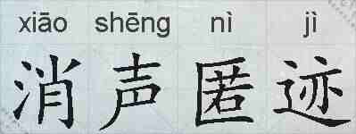 消声匿迹的拼音