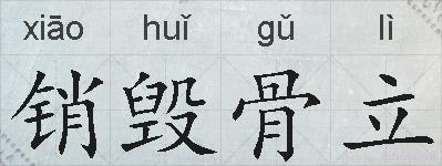 销毁骨立的拼音