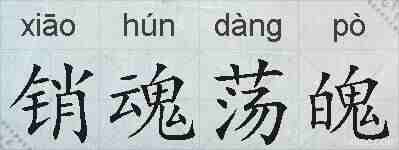 销魂荡魄的拼音