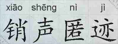 销声匿迹的拼音