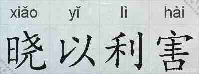晓以利害的拼音
