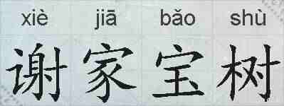 谢家宝树的拼音