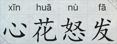 心花怒发的拼音