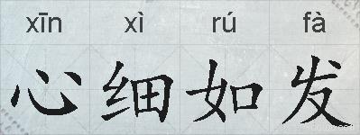 心细如发的拼音