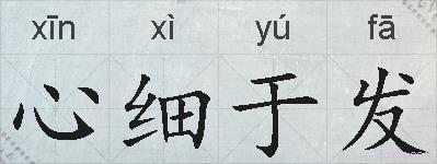 心细于发的拼音