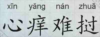 心痒难挝的拼音