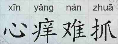 心痒难抓的拼音