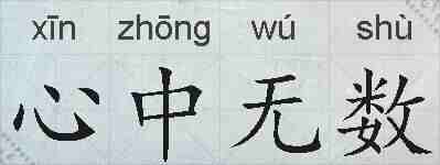 心中无数的拼音