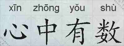 心中有数的拼音