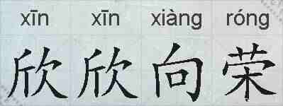 欣欣向荣的拼音