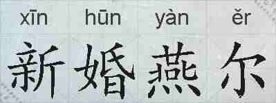 新婚燕尔的拼音