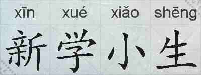 新学小生的拼音