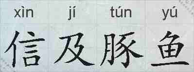 信及豚鱼的拼音