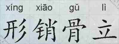 形销骨立的拼音