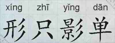 形只影单的拼音