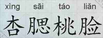 杏腮桃脸的拼音