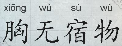 胸无宿物的拼音