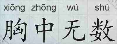 胸中无数的拼音