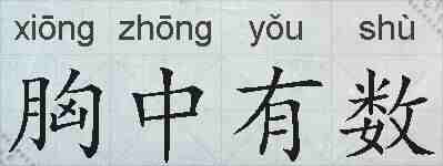 胸中有数的拼音