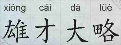 雄才大略的拼音