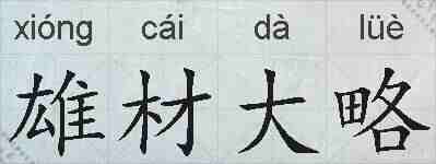 雄材大略的拼音