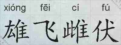 雄飞雌伏的拼音