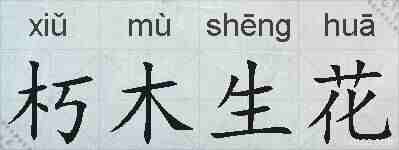 朽木生花的拼音