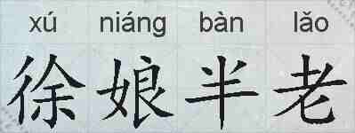 徐娘半老的拼音
