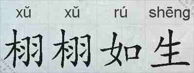 栩栩如生的拼音