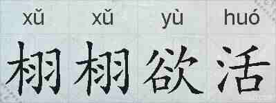 栩栩欲活的拼音