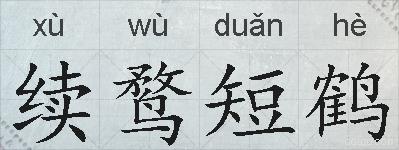 续鹜短鹤的拼音