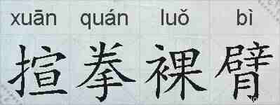 揎拳裸臂的拼音