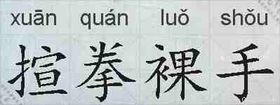揎拳裸手的拼音