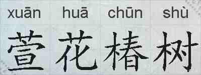 萱花椿树的拼音