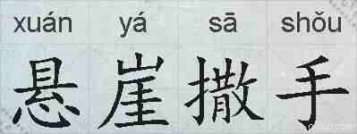悬崖撒手的拼音