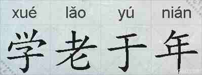 学老于年的拼音