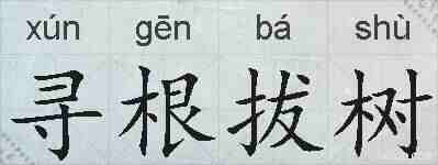 寻根拔树的拼音