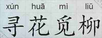 寻花觅柳的拼音
