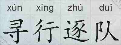 寻行逐队的拼音