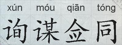 询谋佥同的拼音