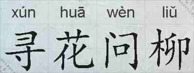 寻花问柳的拼音