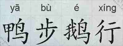 鸭步鹅行的拼音